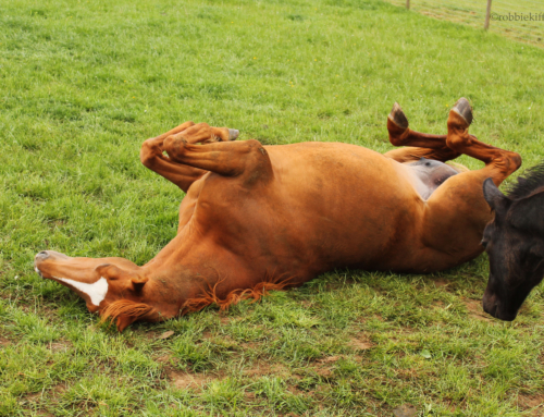 The Little Things…